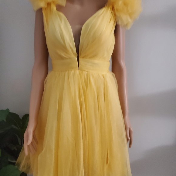 Mini Tulle Dress - Picture 3 of 16